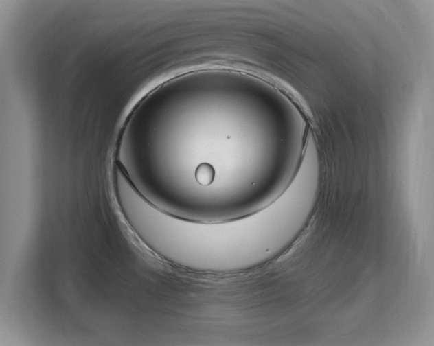 X0000113141530200909110924