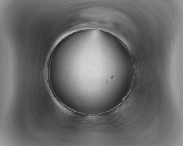 X0000113141531200909110924