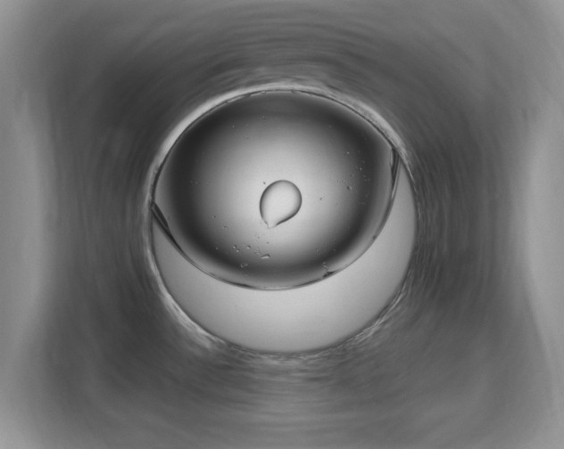 X0000113141532200909110924