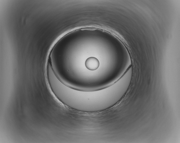 X0000113141536200909110924