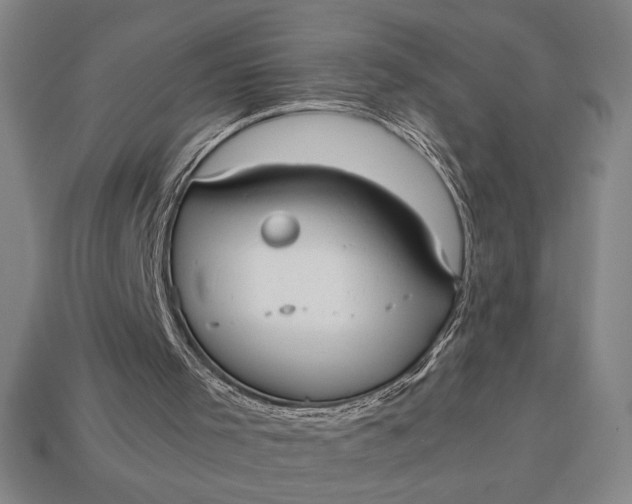 X0000113140001200909181739