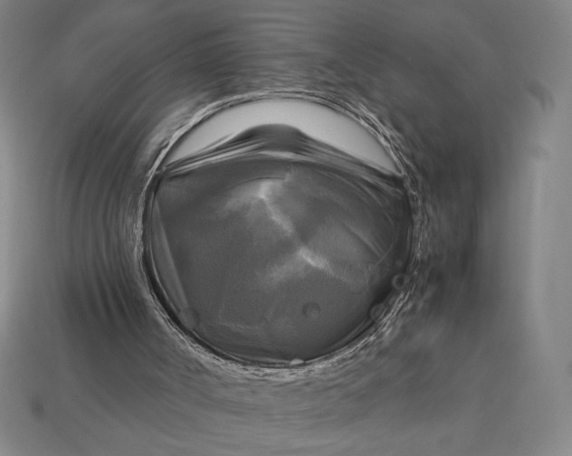 X0000113140002200909181739