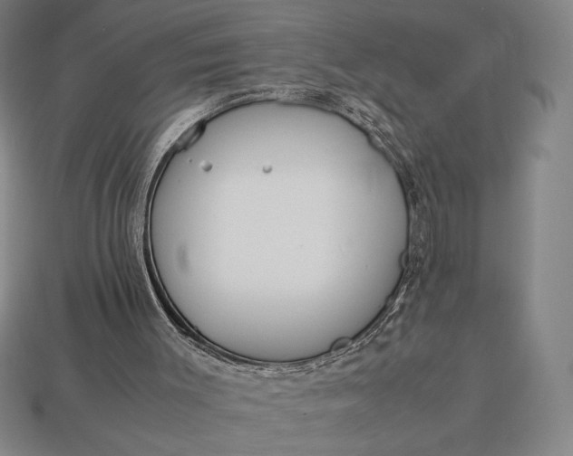 X0000113140003200909181739