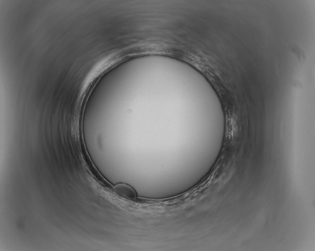 X0000113140004200909181739