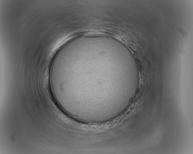 X0000113140005200909181739