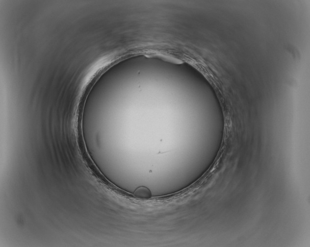 X0000113140006200909181739