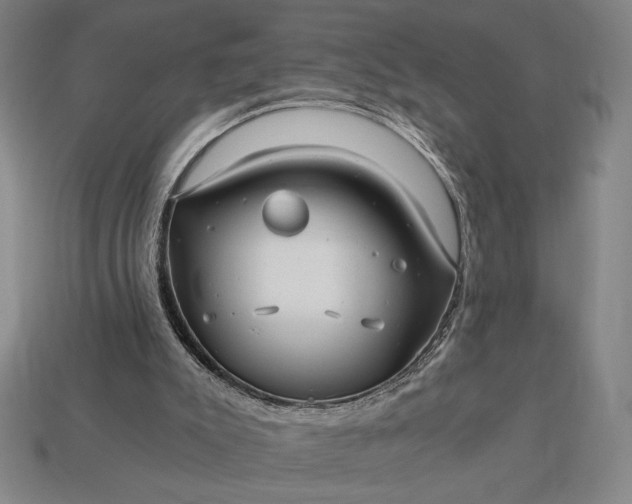 X0000113140007200909181739