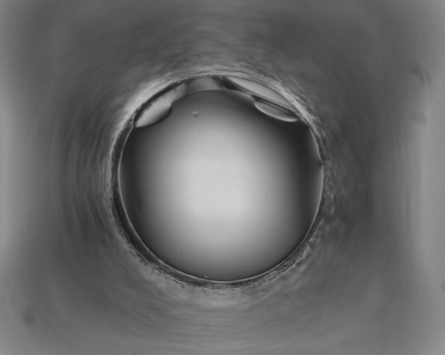 X0000113140008200909181739