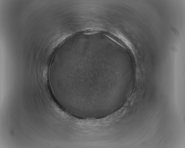 X0000113140009200909181739