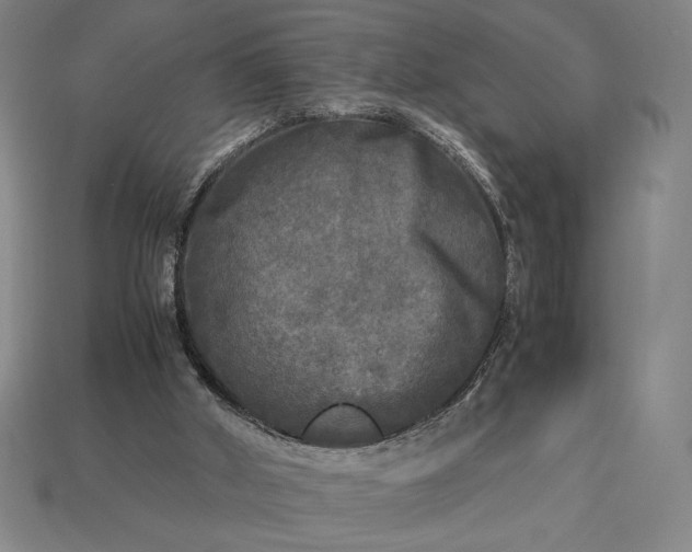 X0000113140010200909181739