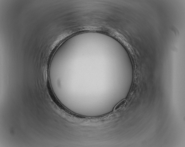 X0000113140011200909181739