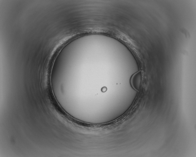 X0000113140012200909181739