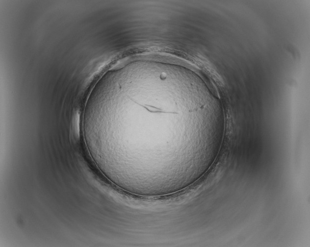 X0000113140014200909181739