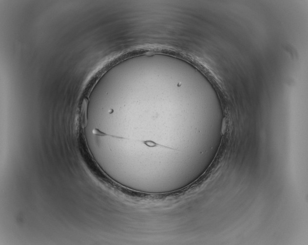 X0000113140016200909181739