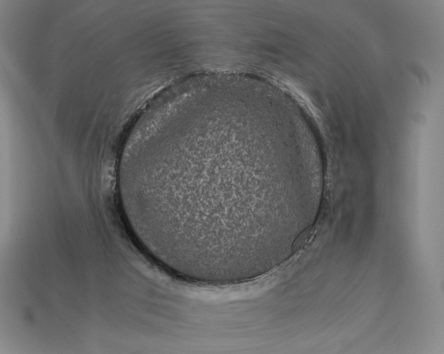 X0000113140017200909181739