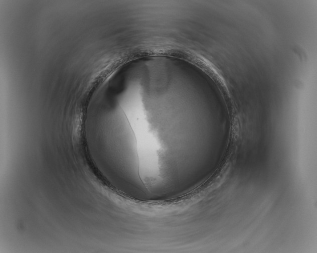 X0000113140018200909181739