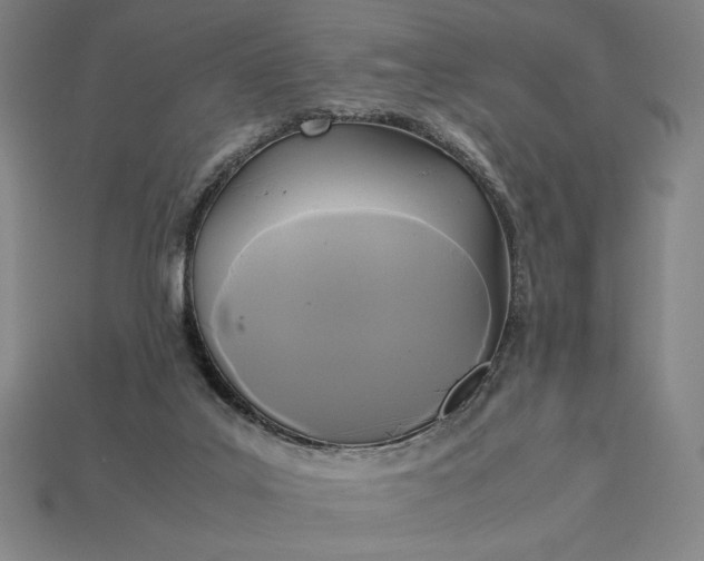 X0000113140019200909181739