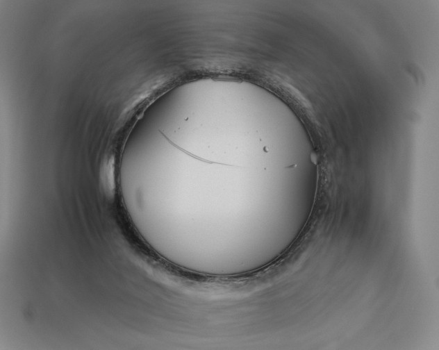 X0000113140020200909181739