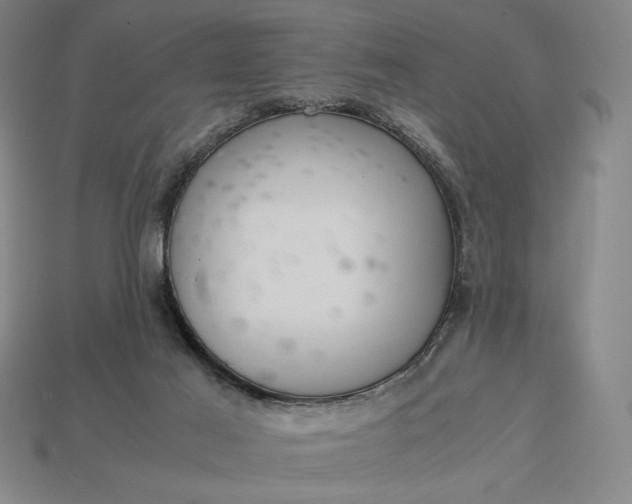 X0000113140021200909181739