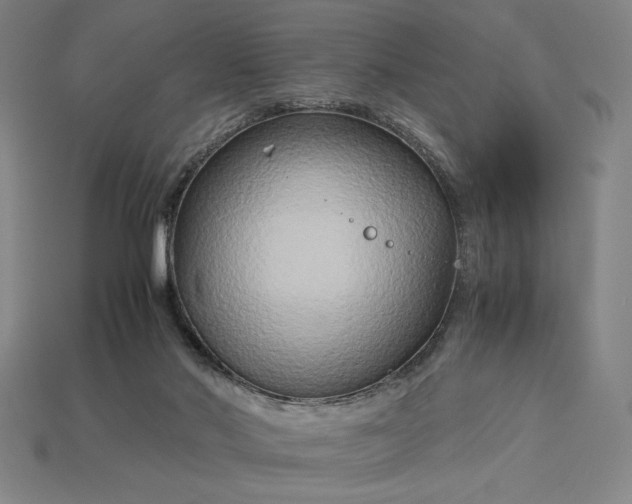 X0000113140022200909181739