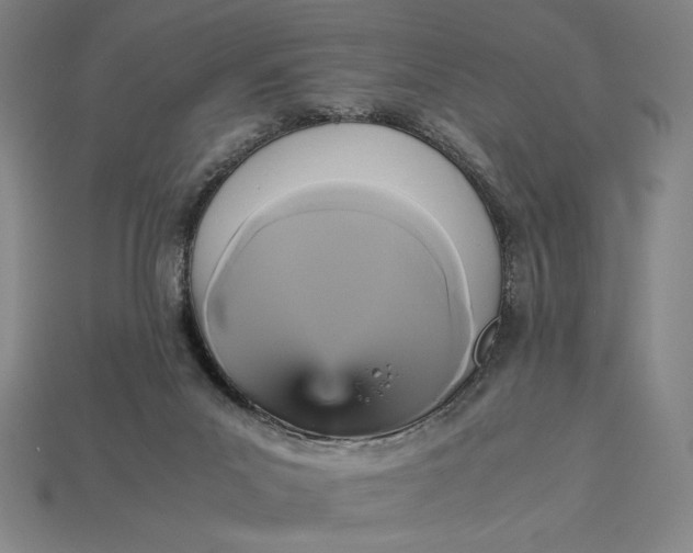 X0000113140023200909181739