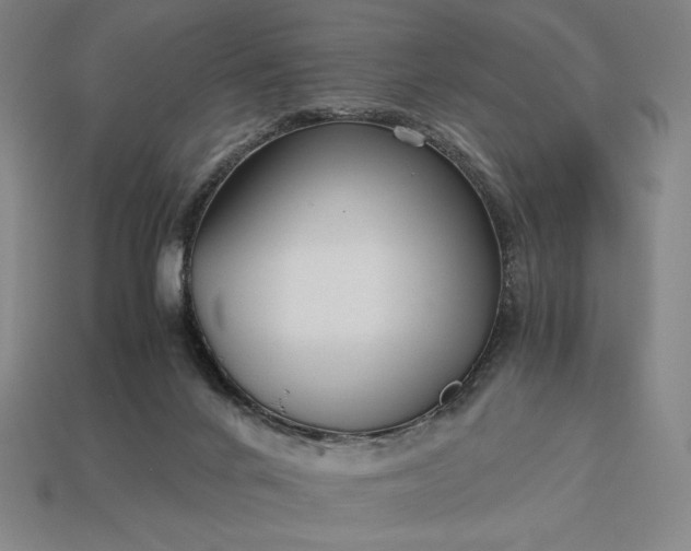 X0000113140024200909181739