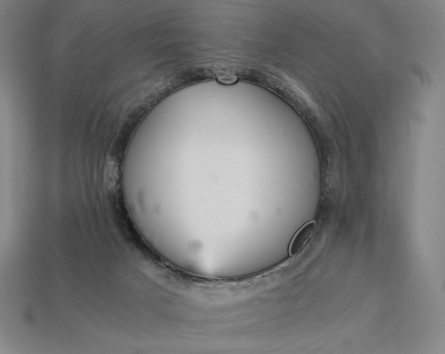 X0000113140025200909181739