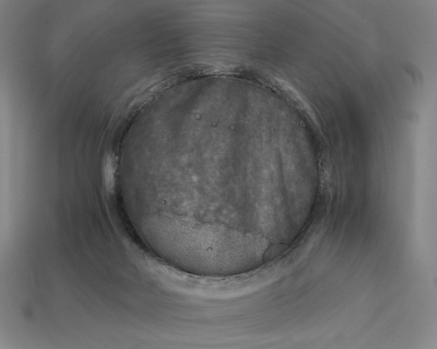 X0000113140026200909181739