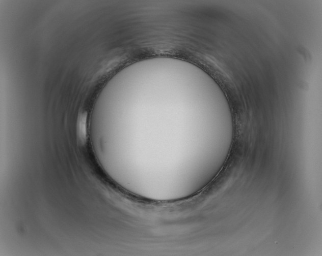 X0000113140028200909181739