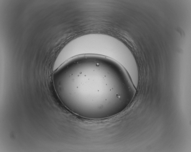 X0000113140029200909181739