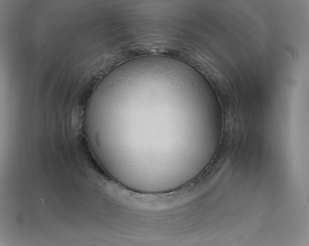 X0000113140030200909181739