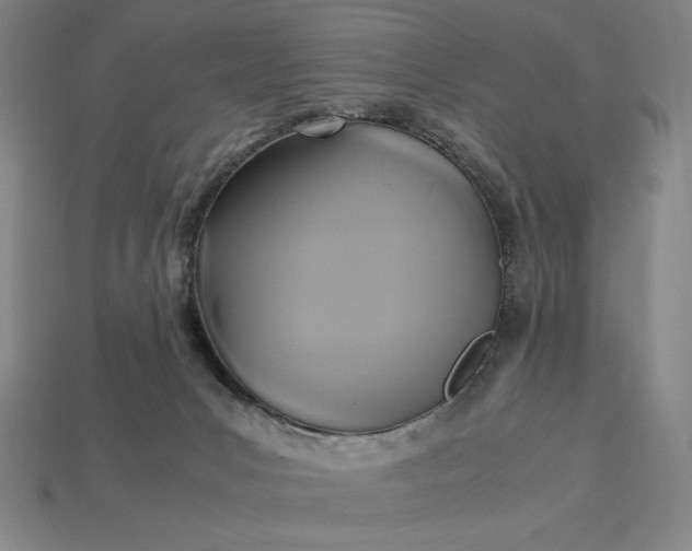 X0000113140031200909181739