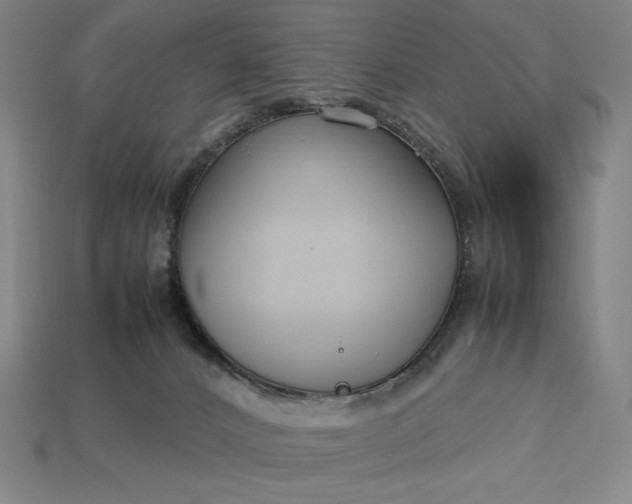 X0000113140032200909181739