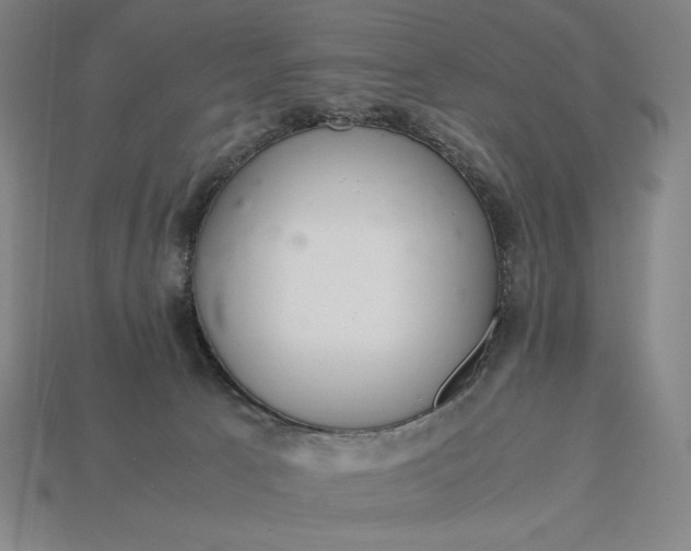 X0000113140033200909181739