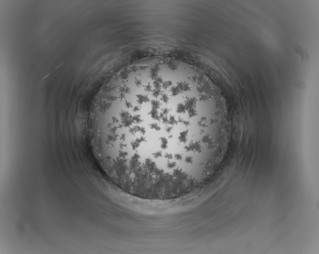 X0000113140034200909181739