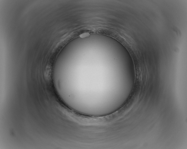 X0000113140036200909181739