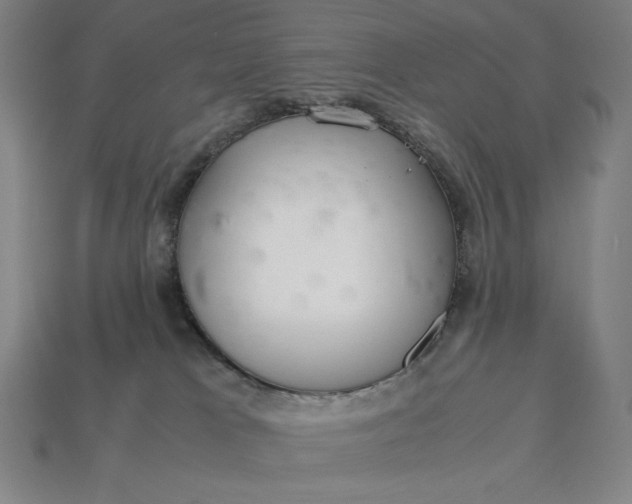 X0000113140037200909181739