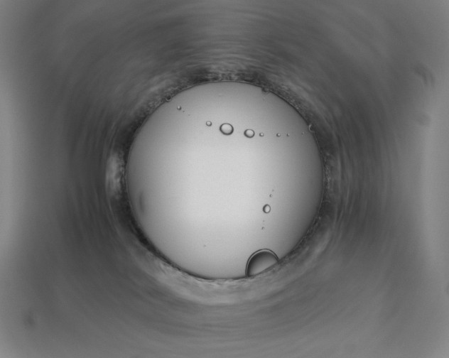 X0000113140038200909181739