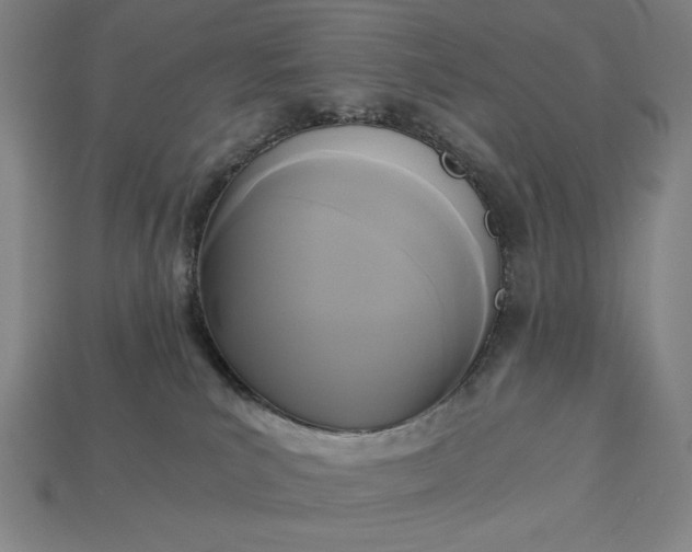 X0000113140039200909181739