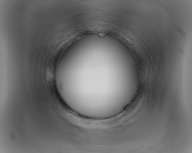 X0000113140040200909181739