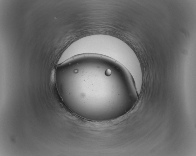 X0000113140041200909181739