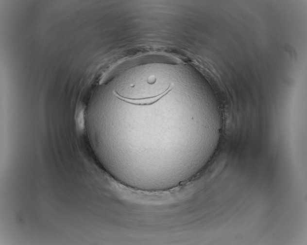 X0000113140042200909181739