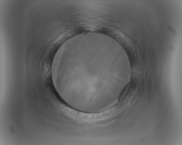 X0000113140043200909181739