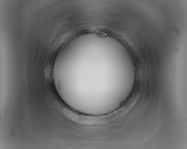 X0000113140044200909181739