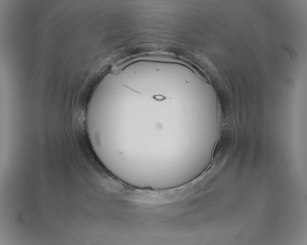 X0000113140045200909181739