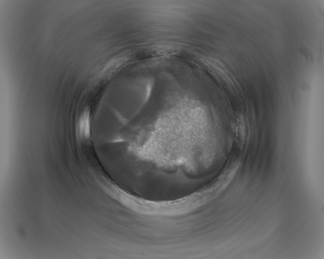 X0000113140046200909181739