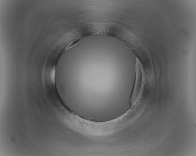 X0000113140047200909181739