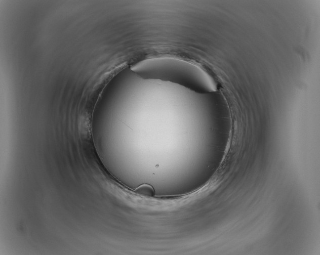 X0000113140048200909181739