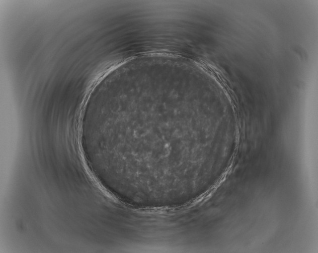 X0000113140049200909181738