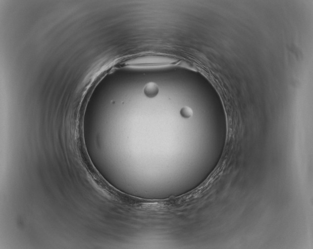 X0000113140050200909181738